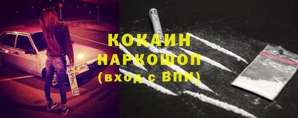 сатива Верхний Тагил