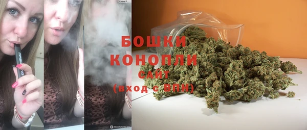 сатива Верхний Тагил