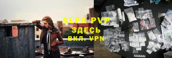 сатива Верхний Тагил