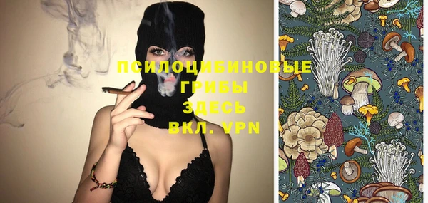 ГАЛЛЮЦИНОГЕННЫЕ ГРИБЫ Верхнеуральск